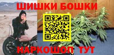 индика Будённовск