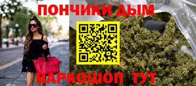 индика Будённовск
