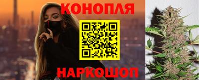 индика Будённовск