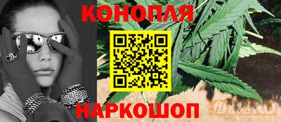 индика Будённовск