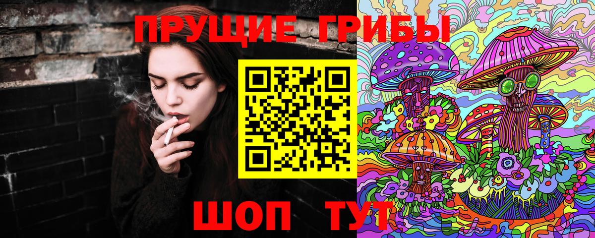 Самара  Галлюциногенные грибы мицелий  Псилоцибиновые грибы GOLDEN TEACHER  Вход с VPN 